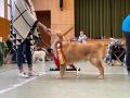 IMG-20211017-WA0003