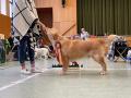 IMG-20211126-WA0006
