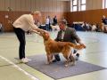 IMG-20211126-WA0007