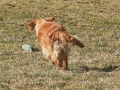 golden-mountain-springs-caty-42