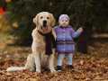 12-EDVIN-IZ-SOKOLINOGO-GNEZDA-www.dual-golden-retriever.de-