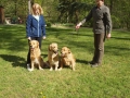 Al Capone , Amy & Anka of Golden Fields and Forests